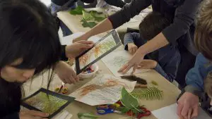 Free Family Day: The Light of the Sun