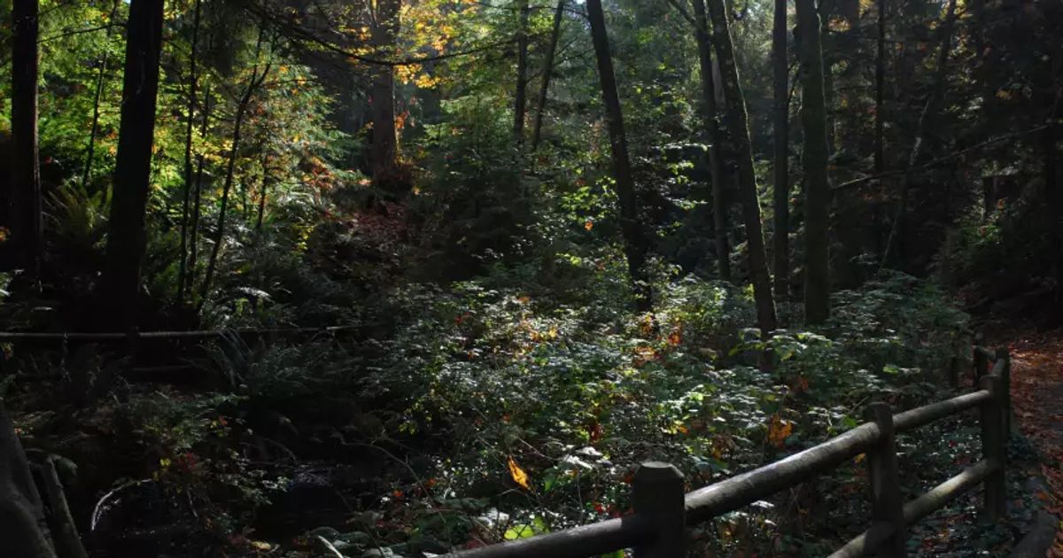 Three Box Office Blockbusters Filmed in Vancouver Destination Vancouver