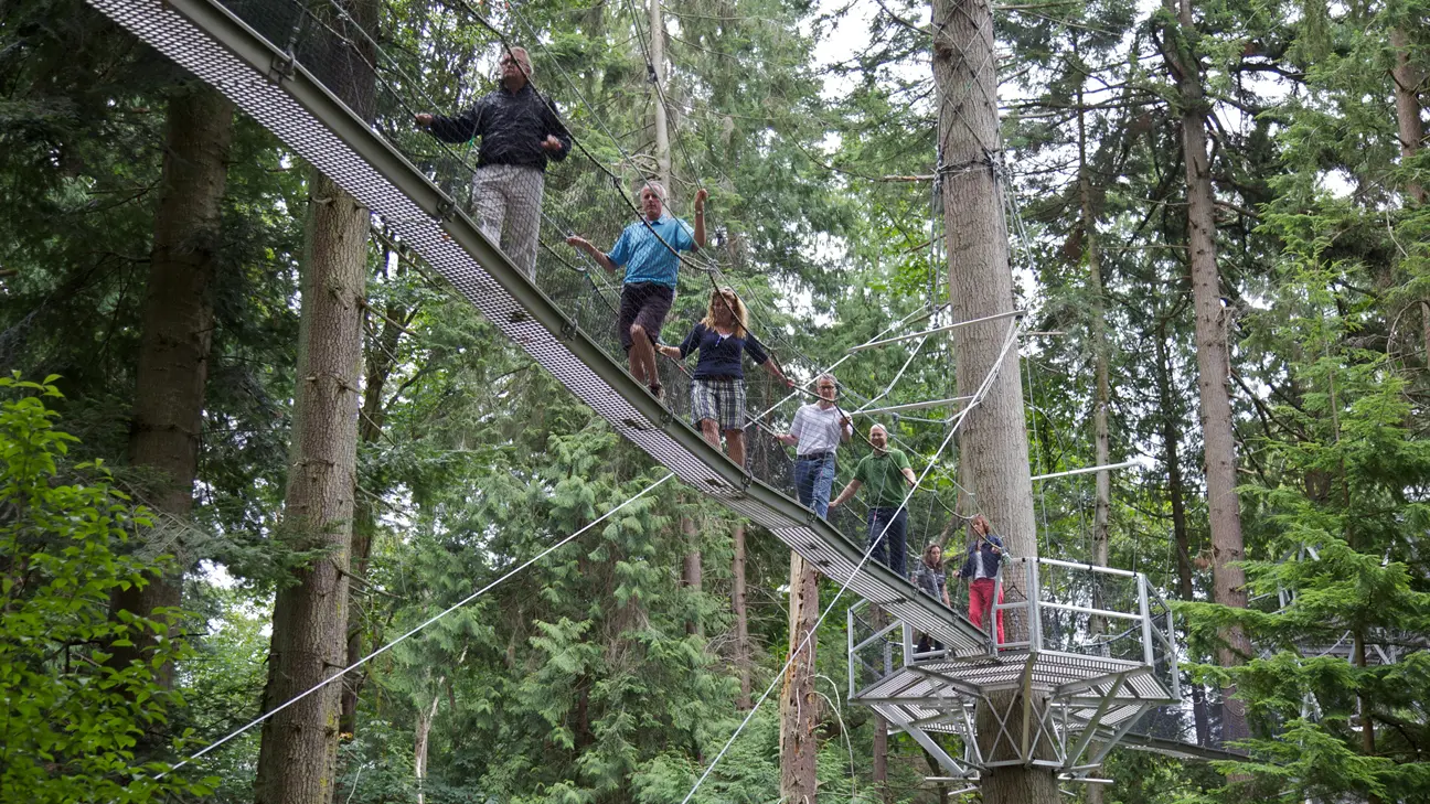 8 Ways to Get Outdoors at UBC