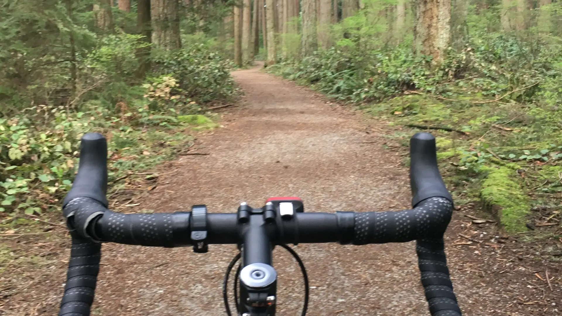 Biking the trails of Pacific Spirit Park