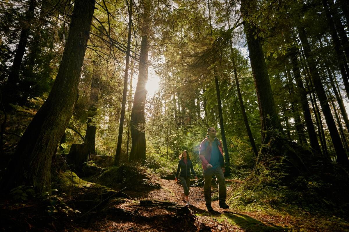 Relax and Rejuvenate with Forest Bathing in Vancouver | Destination ...