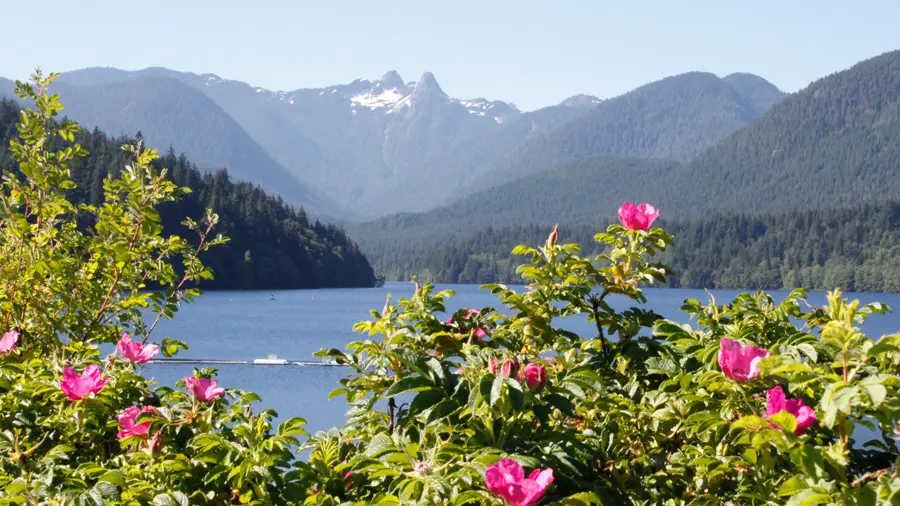 Summer Watershed Tours