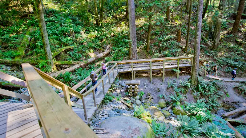 Forested trail on the way to Quarry Rock