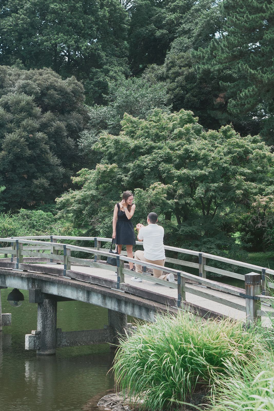 Proposal at Shinjuku Gyoen National Garden in Tokyo, Japan