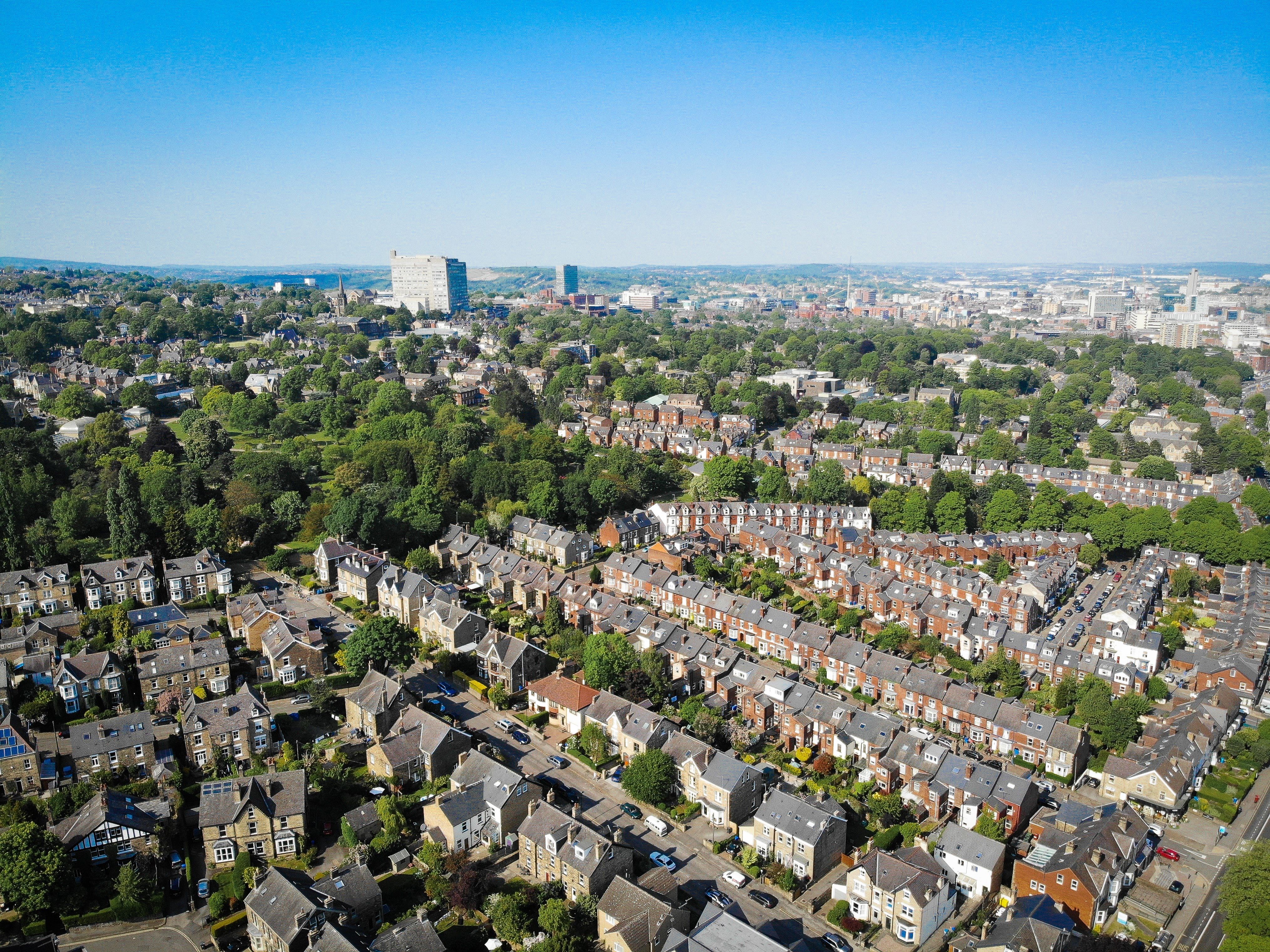 Scattered banner image