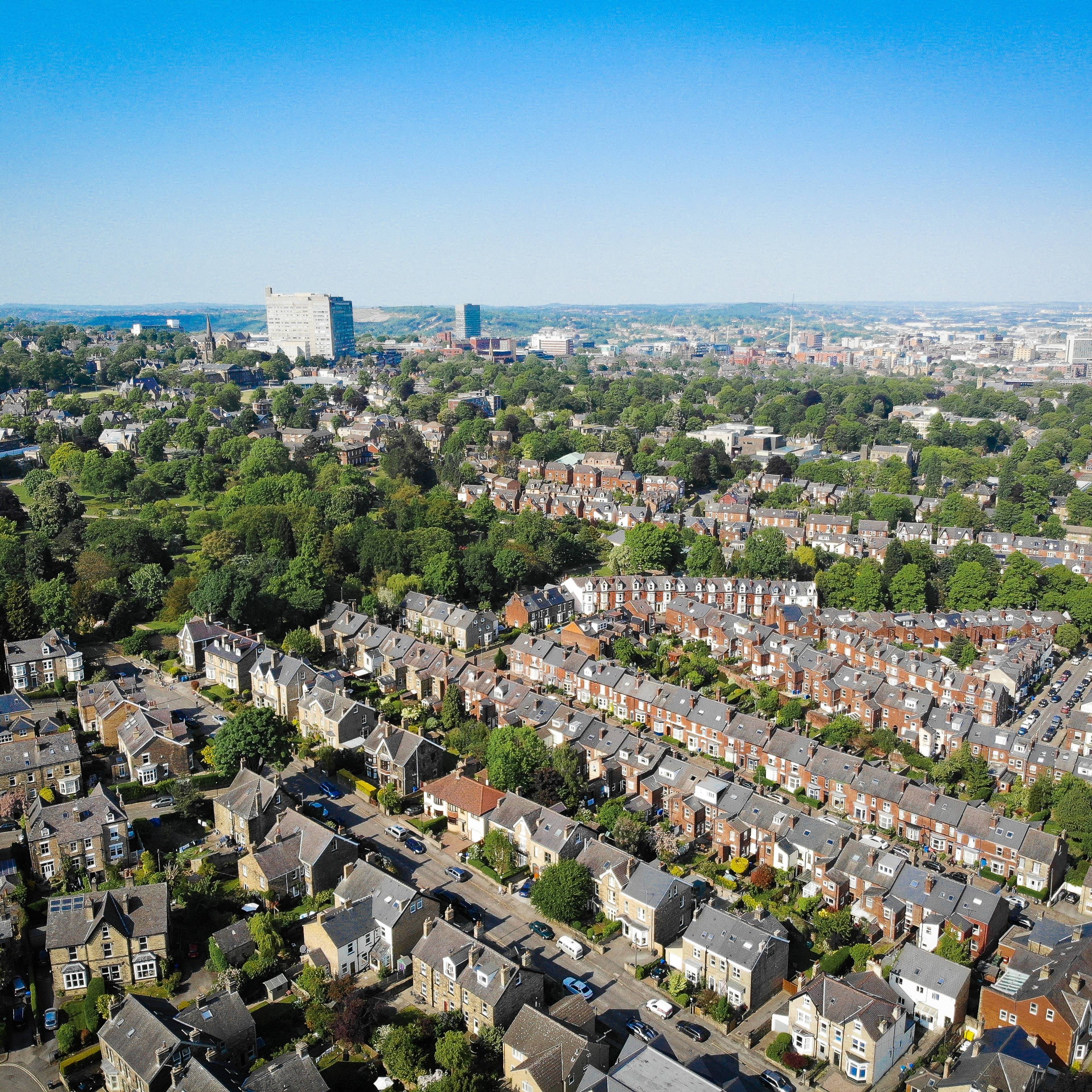 Scattered banner image