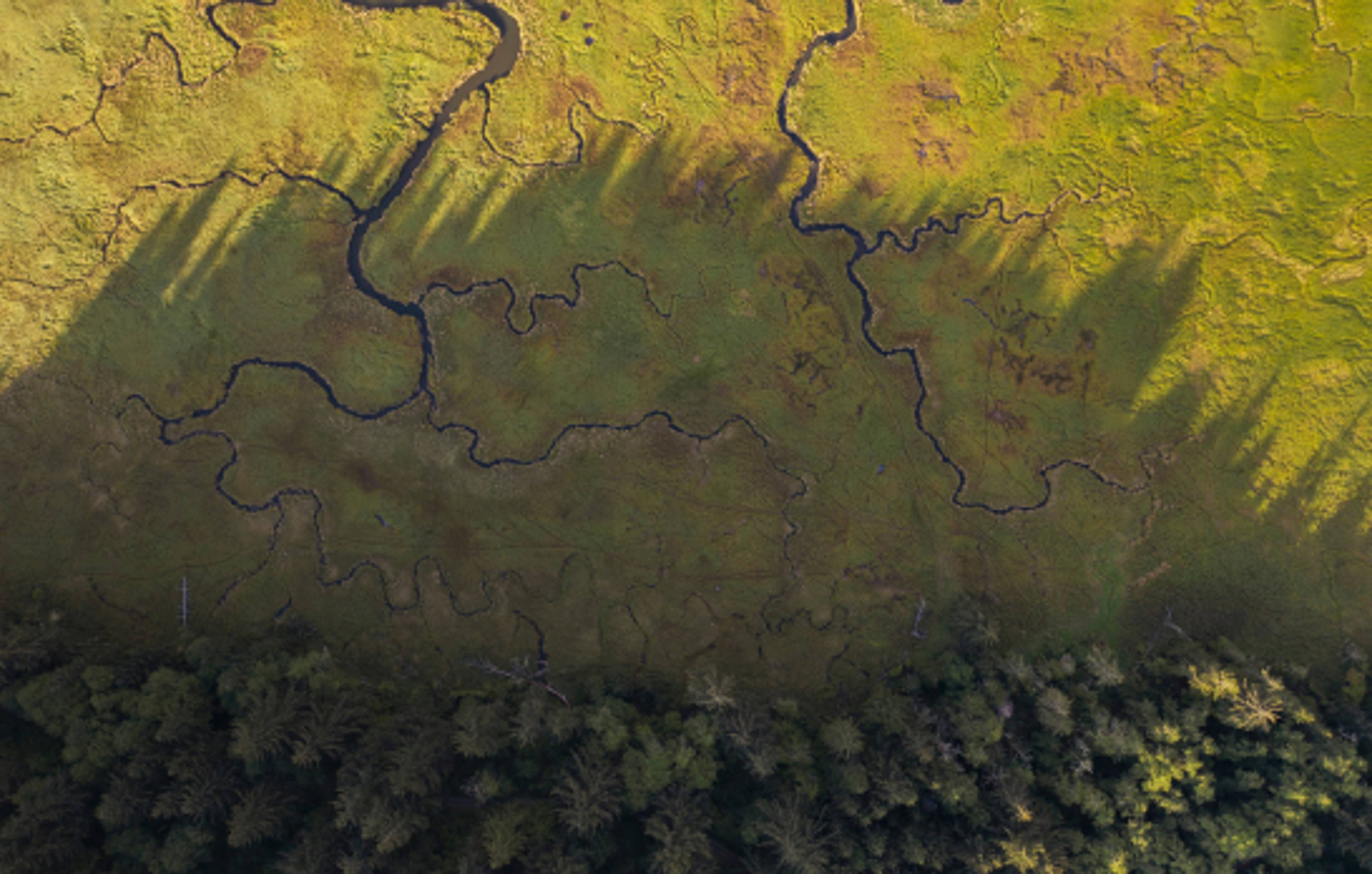 Hero centralised asset