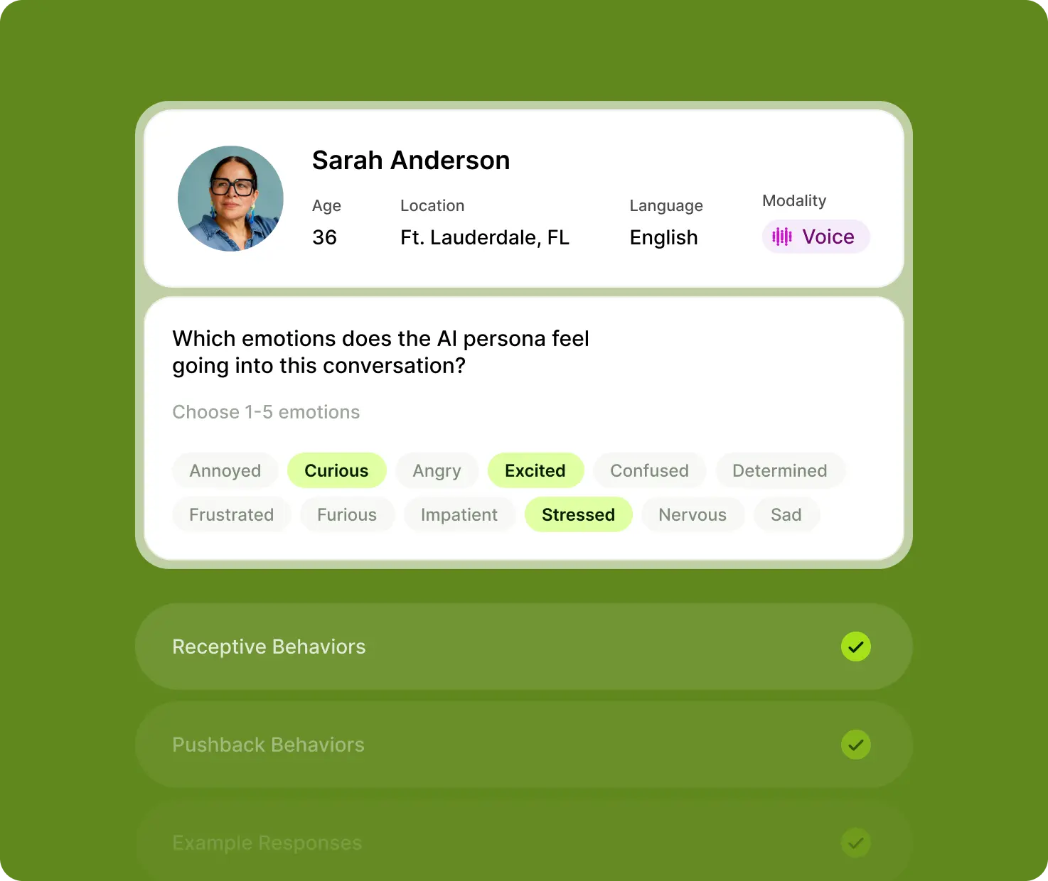 Configurable personas