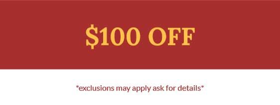 $100 Off Icon