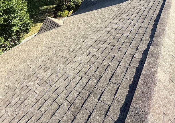 Roofing 3