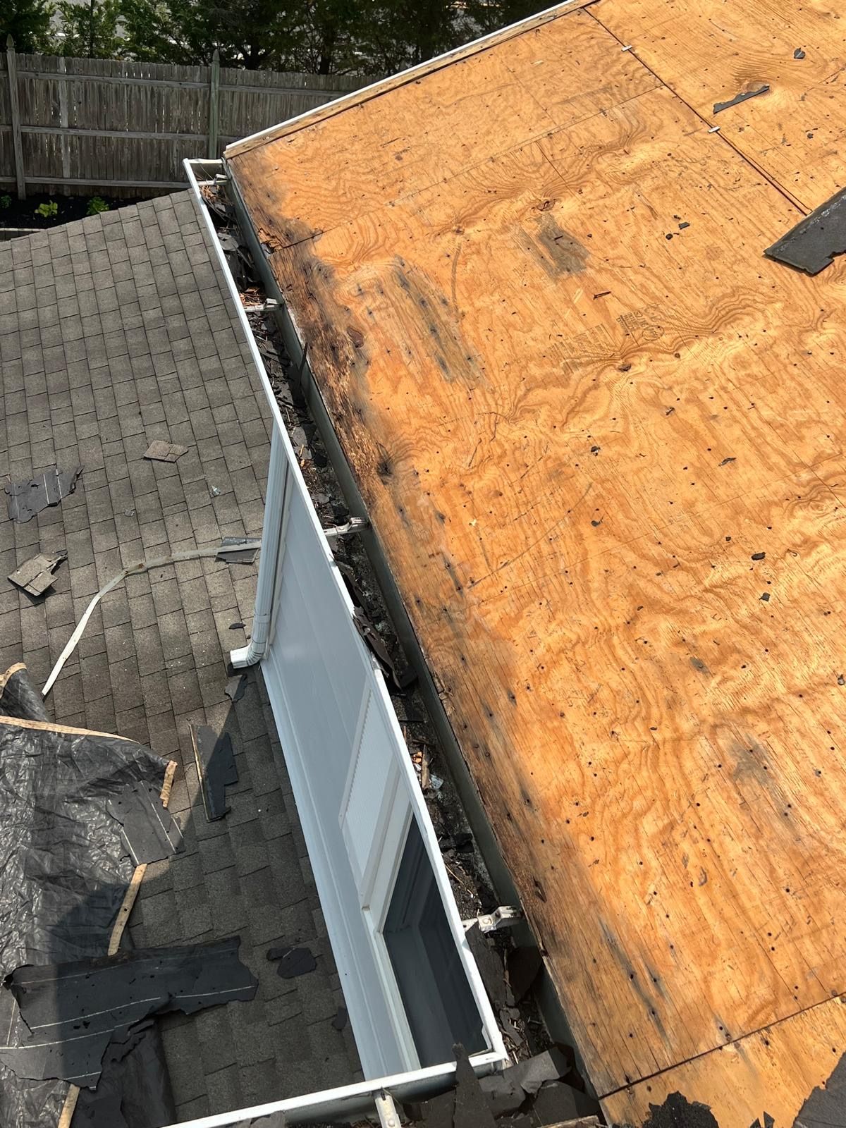 roof 49