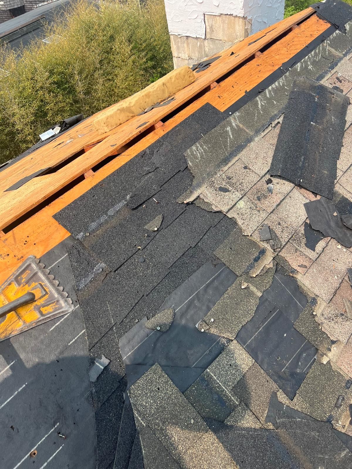 roof 64