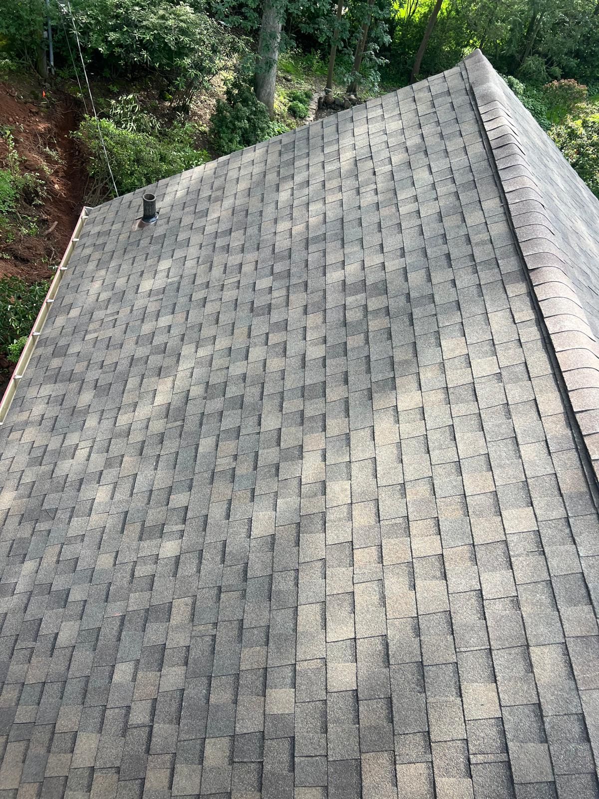 roof 46