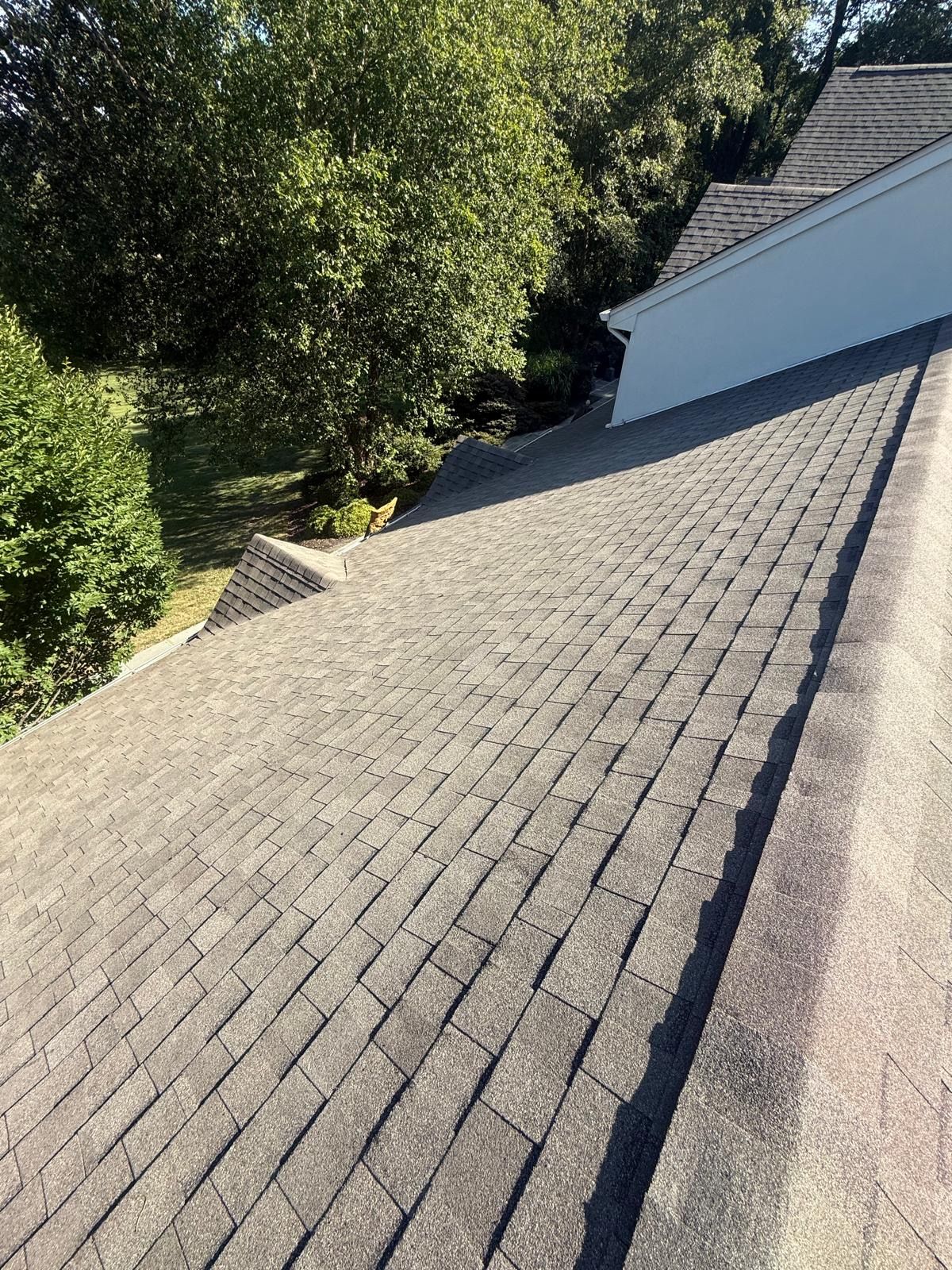 roof 10