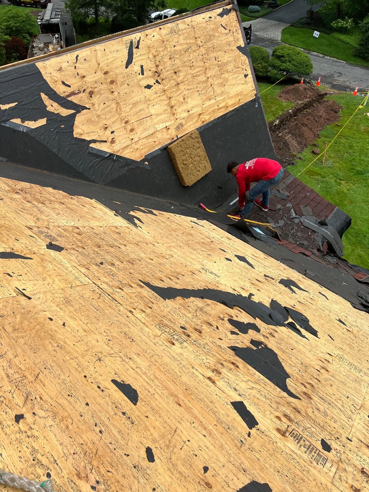 Roof 62