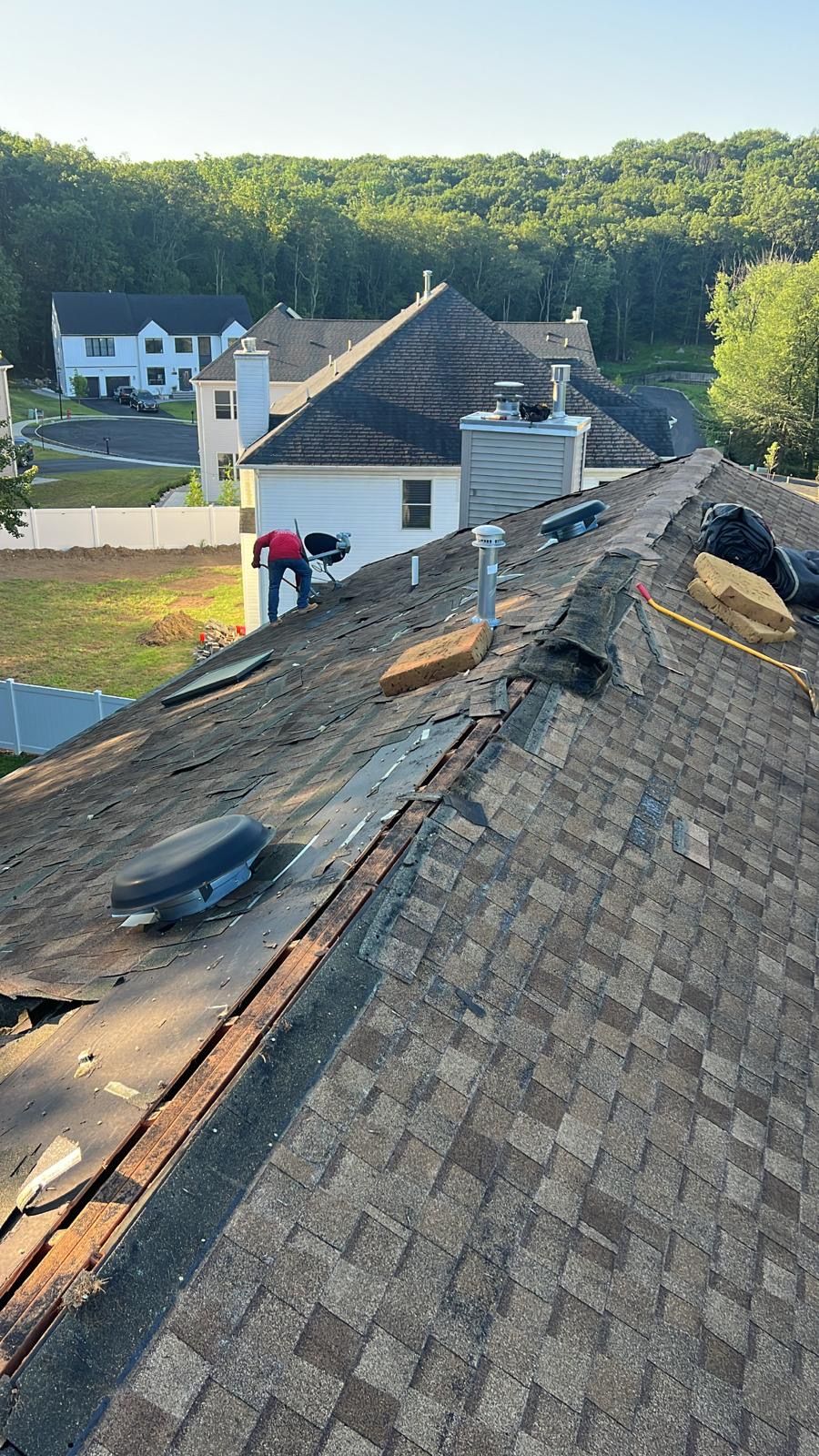 roof 24