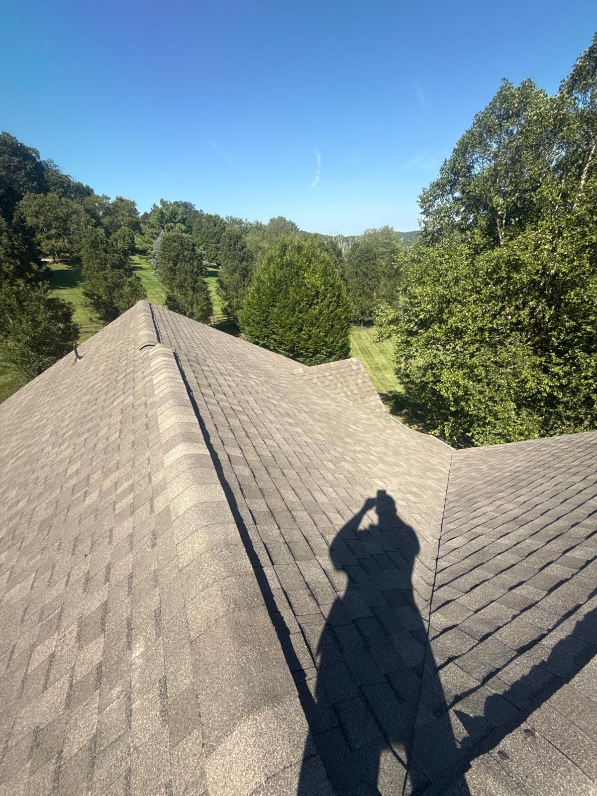 roof 43
