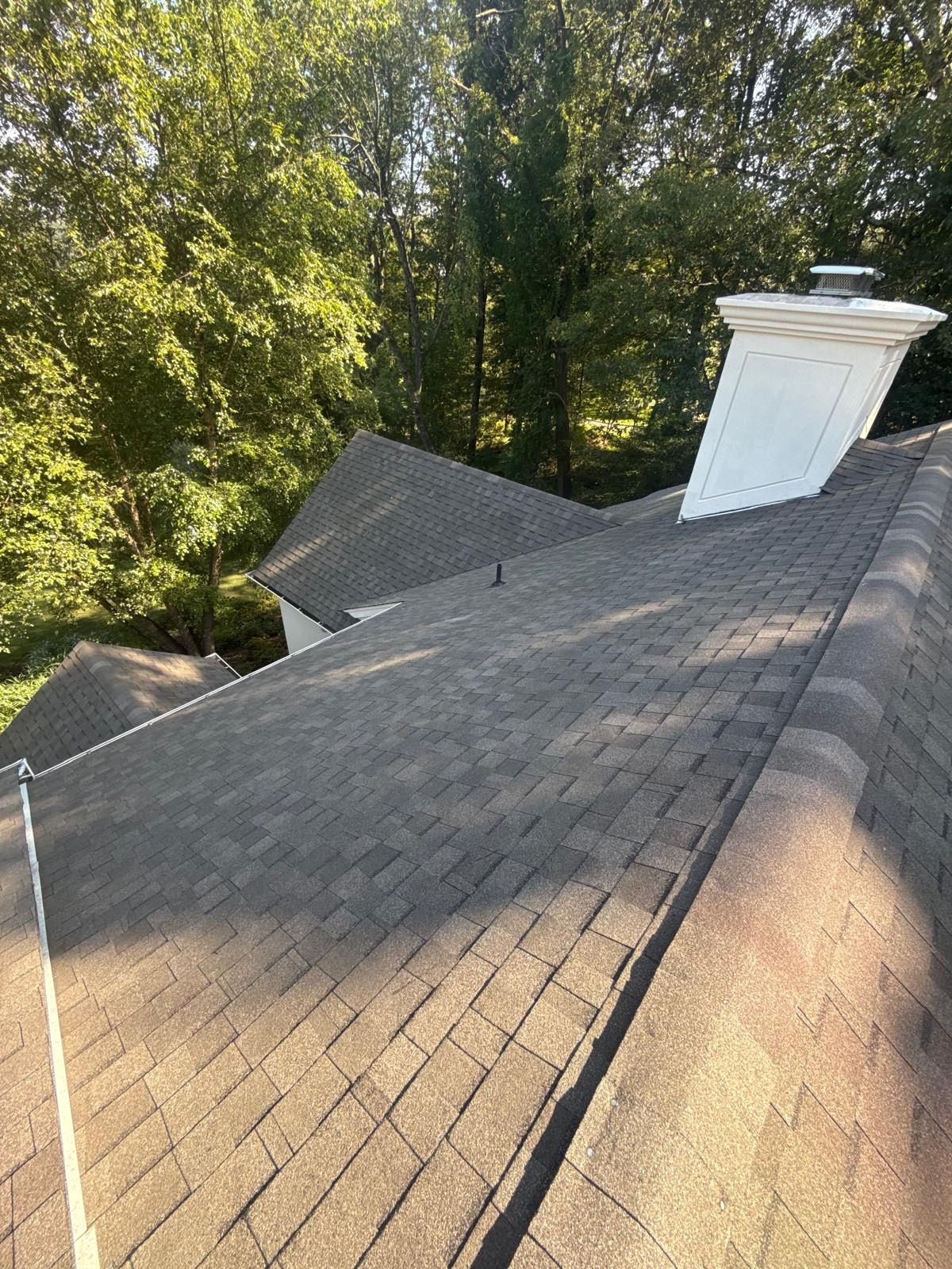 roof 8