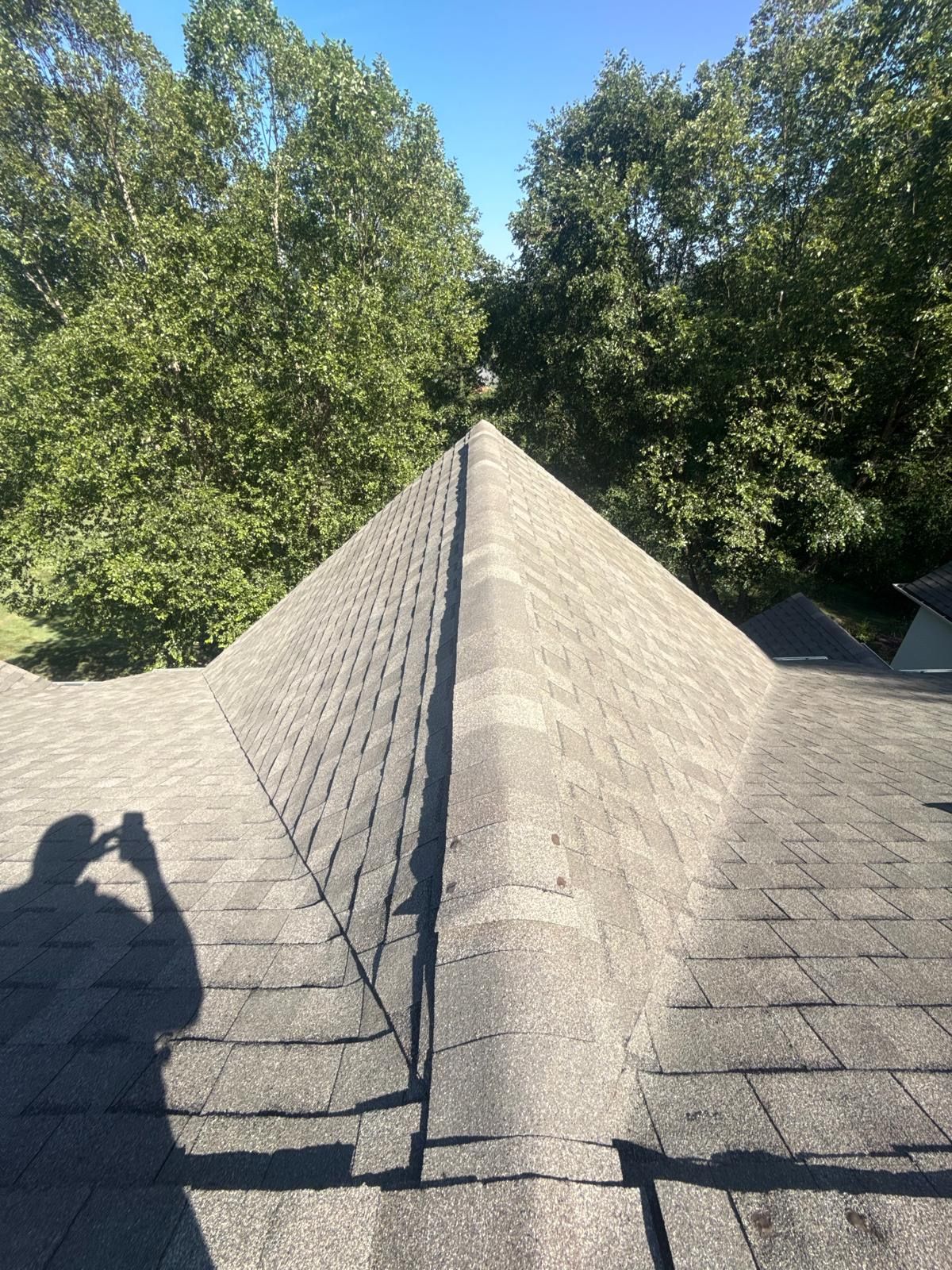 roof 14