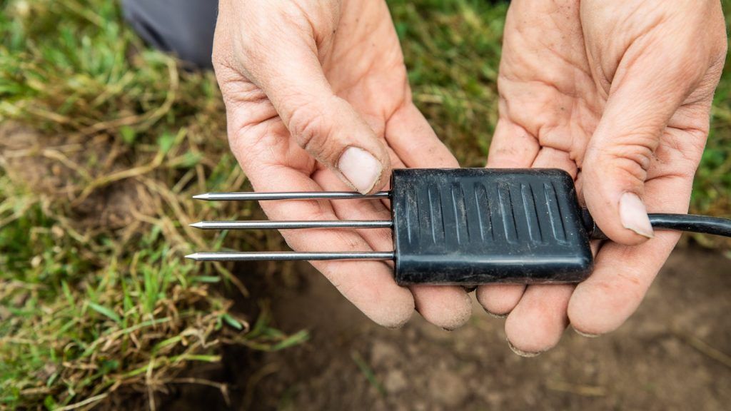 Sensor for agriculture