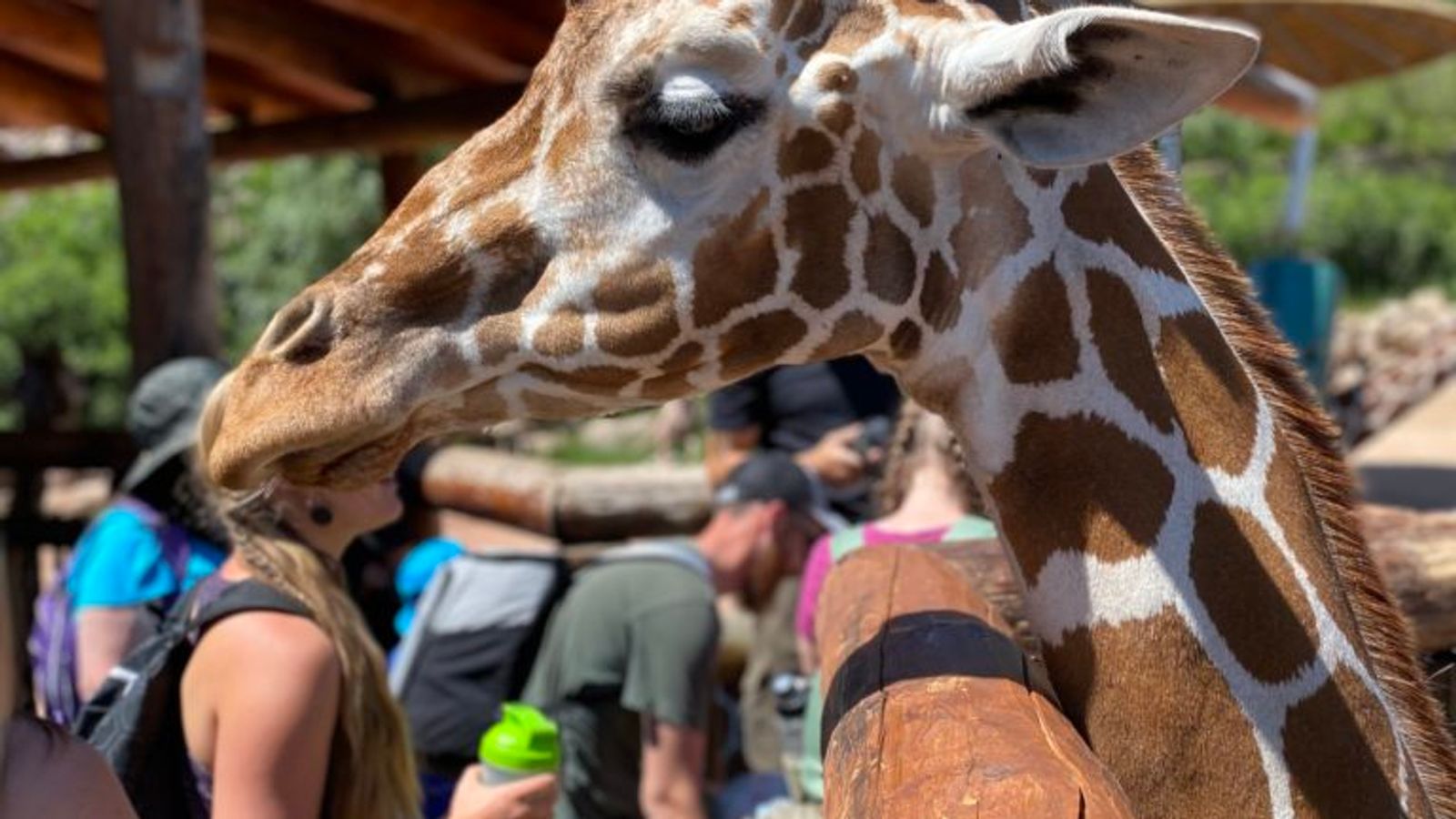 11 Family Friendly Attractions in Colorado Springs