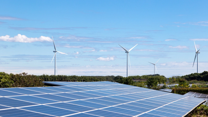 Solar panels in the foreground, with wind turbines in the background, generating renewable energy under a clear blue sky, suggesting they reach businesses through energy brokers and direct suppliers.