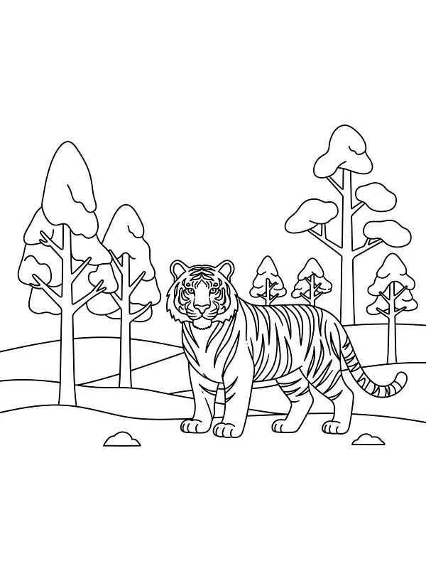 Tiger i skoven, underkategori