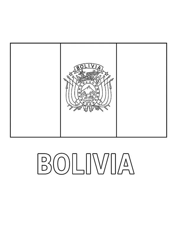 Bolivianische Flagge, Unterkategorie