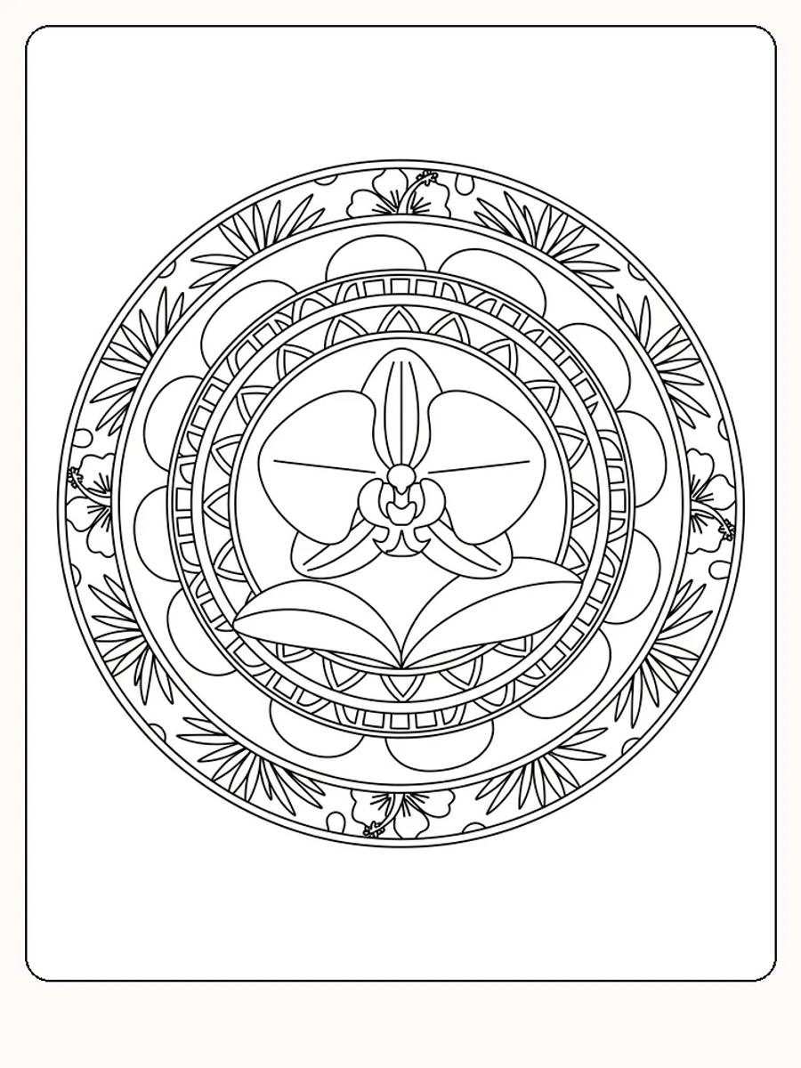 Detaillierte Mandala mit Blumen zum Ausmalen und Entspannen