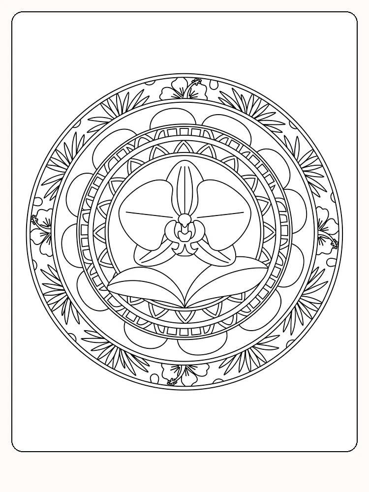 Detaillierte Mandala mit Blumen zum Ausmalen und Entspannen