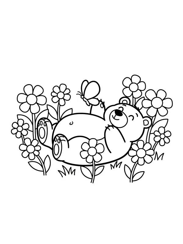 Bjørn blant blomster, underkategori