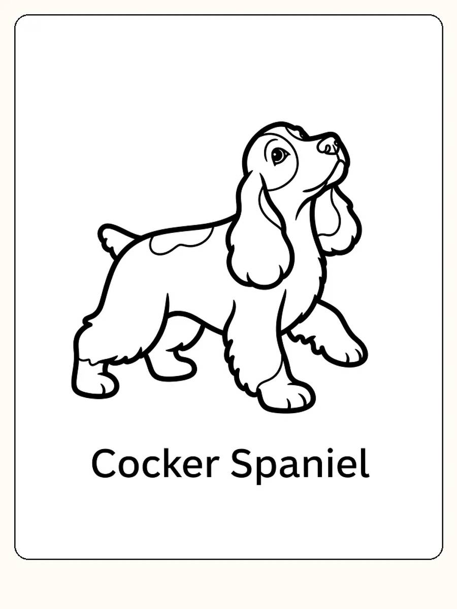 Fargeleggingstegning av en sittende Cocker Spaniel, perfekt for utskrift