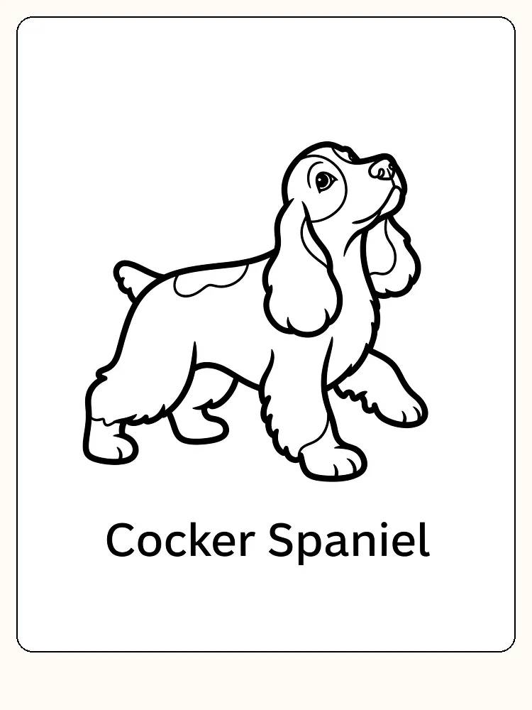 Fargeleggingstegning av en sittende Cocker Spaniel, perfekt for utskrift