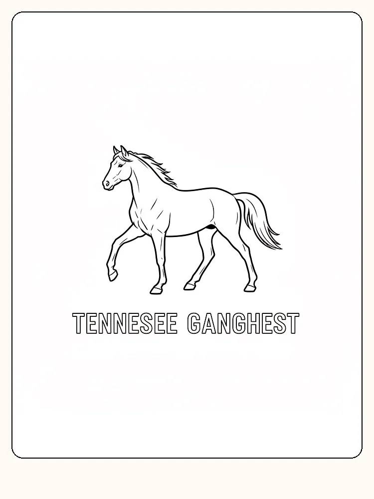 Fargeleggingstegning av en Tennessee ganghest som løper med elegant stil, klar for utskrift