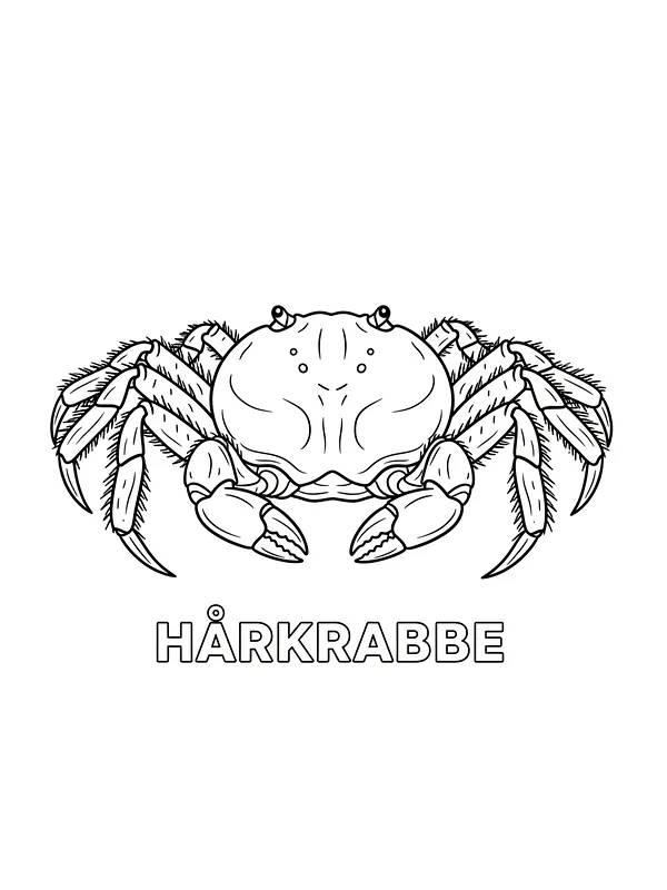 Hårkrabbe konturlinje, underkategori