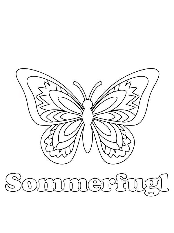 Detaljert sommerfugl
