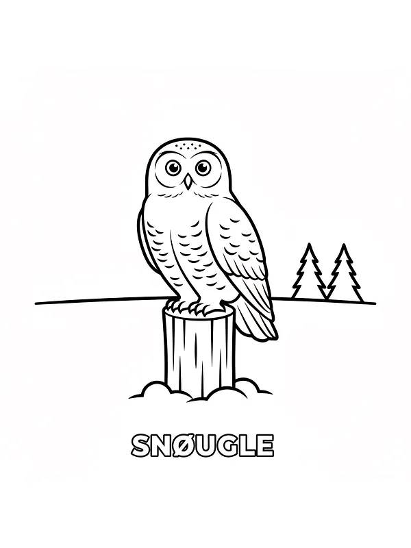 Snøugle på trestubbe, underkategori