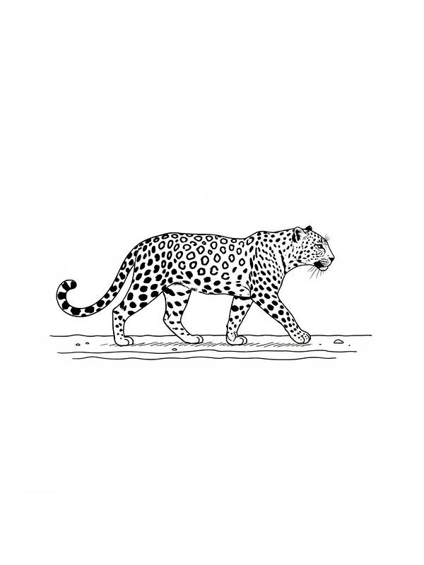 Leopard som går, underkategori