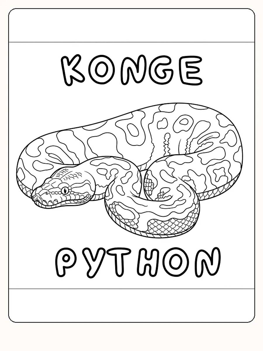 Tegning til farvelægning af en kongepython med karakteristiske mønstre, klar til print