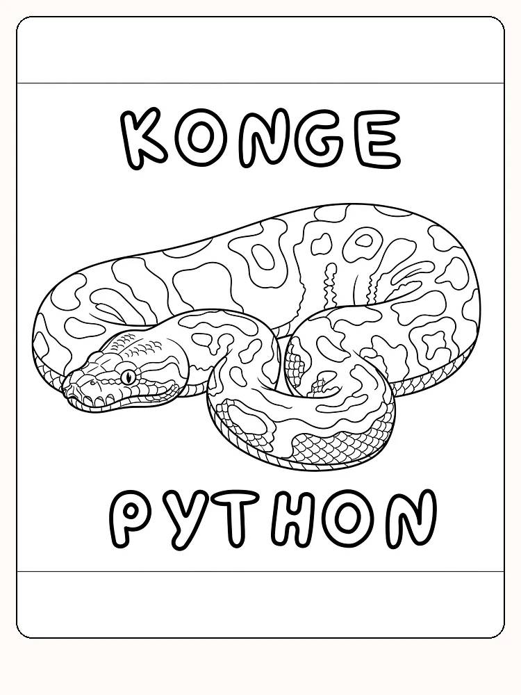 Tegning til farvelægning af en kongepython med karakteristiske mønstre, klar til print