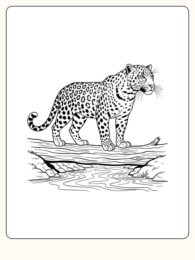 Fargeleggingsbilde av leopard som står på en trestokk over en liten bekk. Perfekt for dyreelskere.