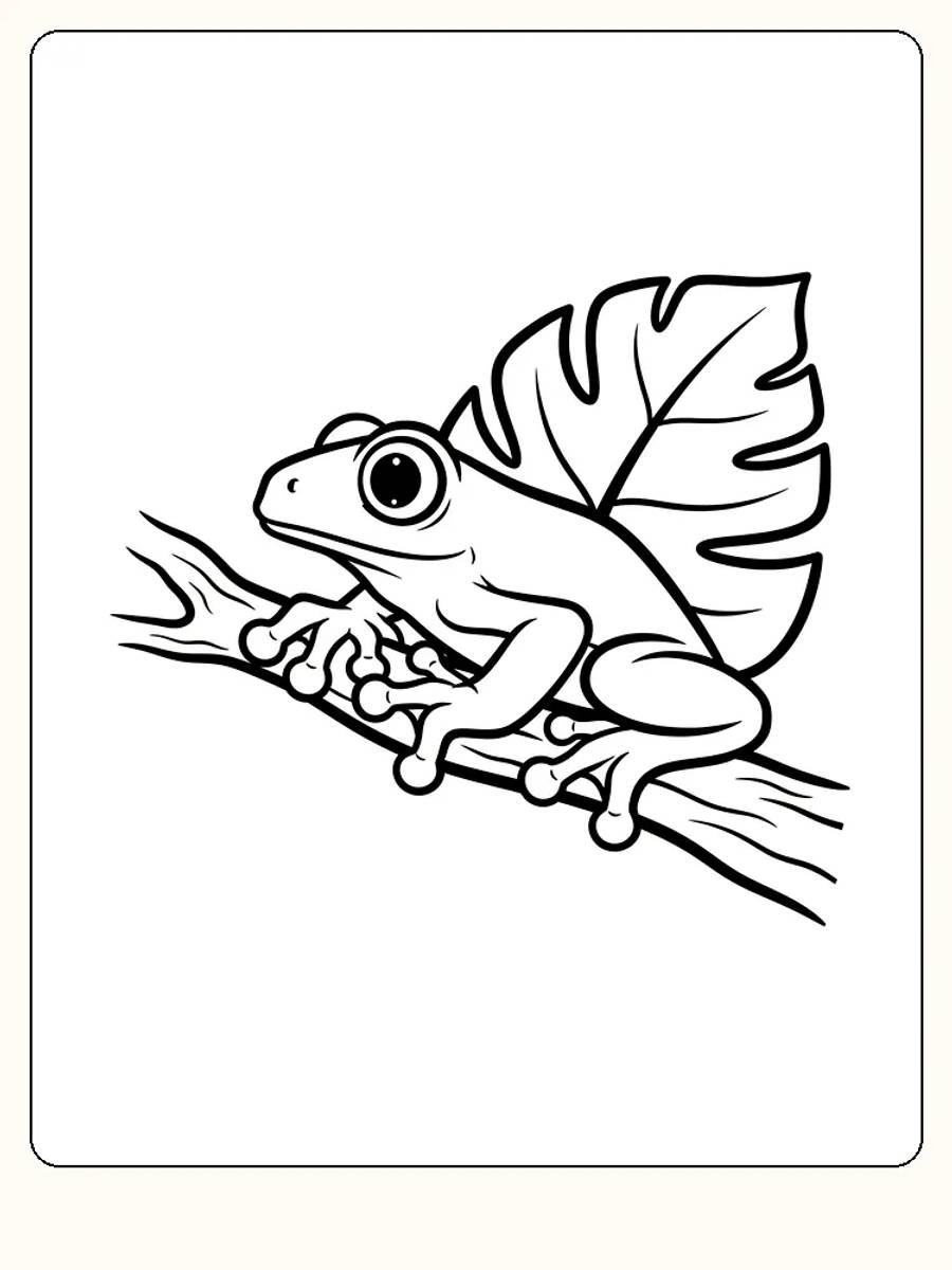 Tegning til farvelægning af en frø på en gren med et stort blad bagved