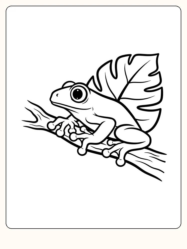 Tegning til farvelægning af en frø på en gren med et stort blad bagved