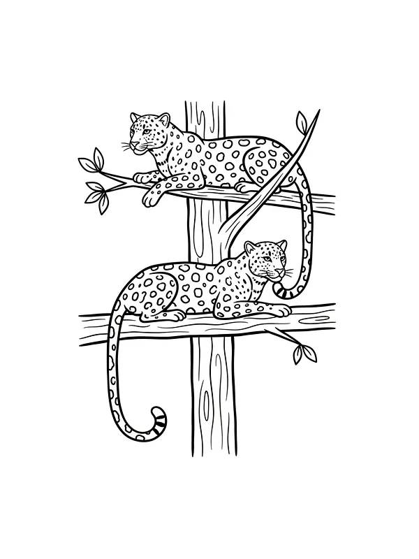 To leoparder i et tre, underkategori
