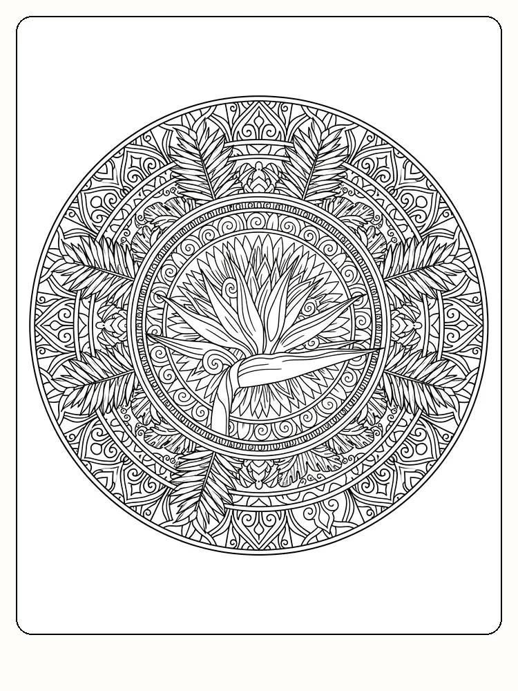 Detaljeret mandala med en fugl i midten, omgivet af fjer, klar til farvelægning