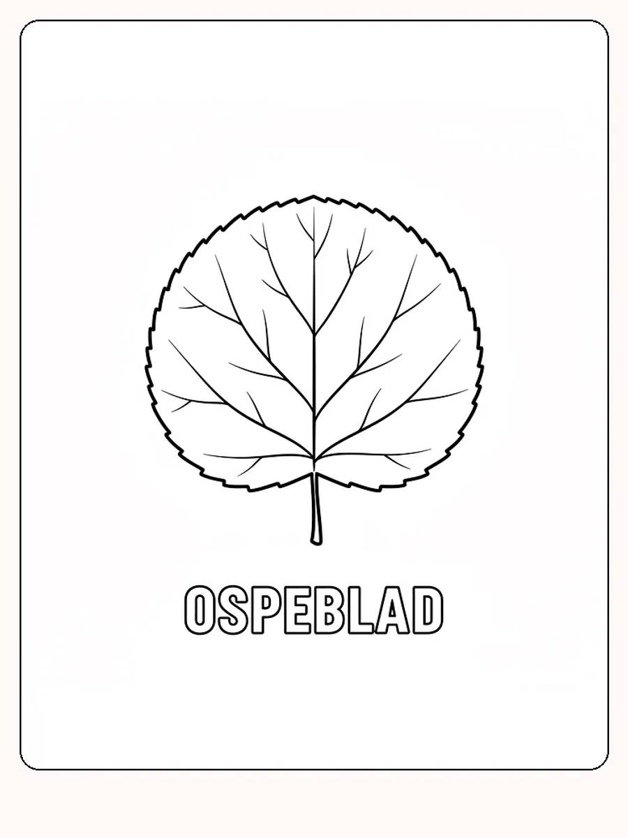 Fargeleggingsbilde av et stort ospeblad, klar til utskrift