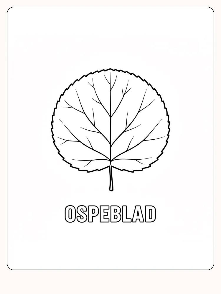 Fargeleggingsbilde av et stort ospeblad, klar til utskrift