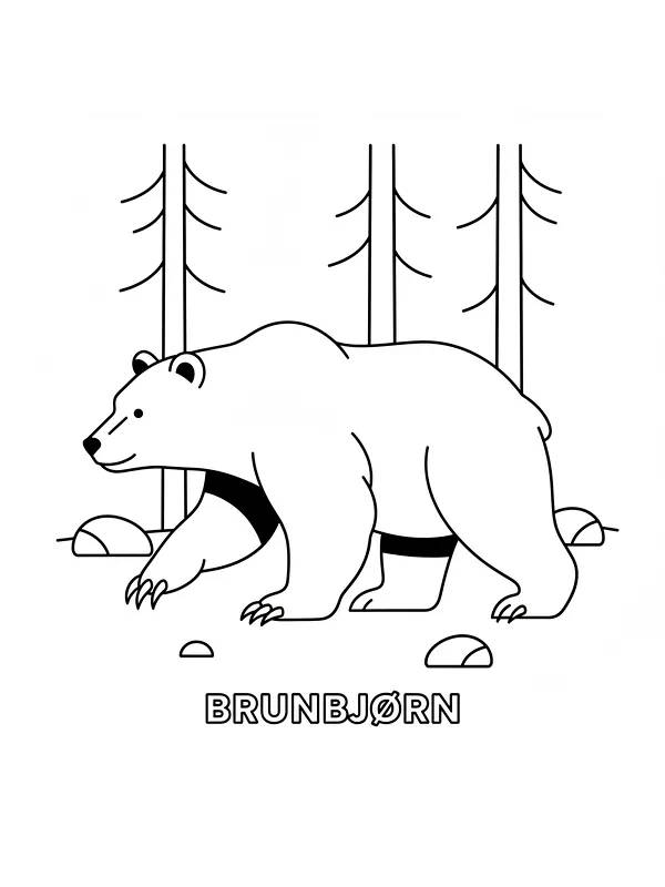 Brunbjørn i skogen, underkategori