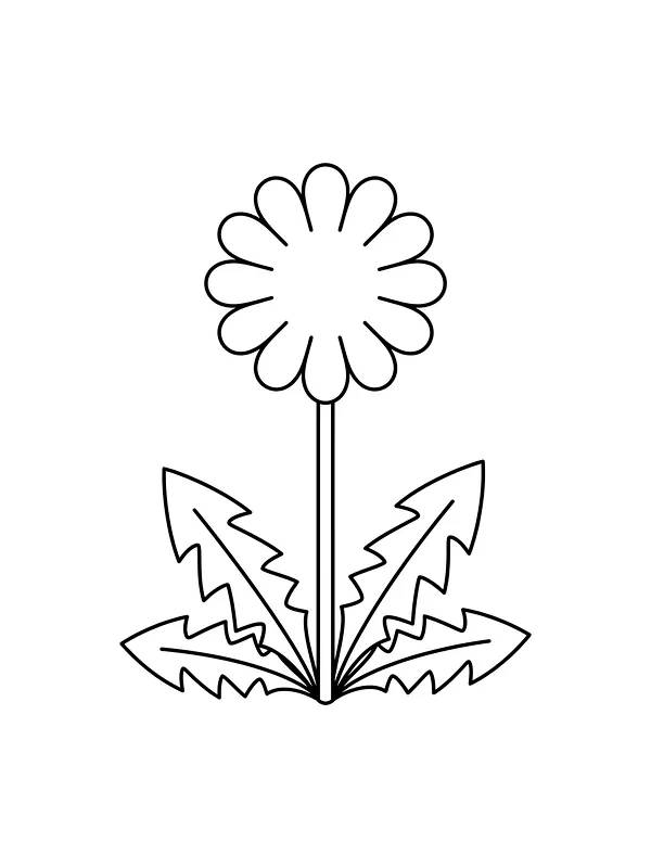 Løvetannblomst med store blader