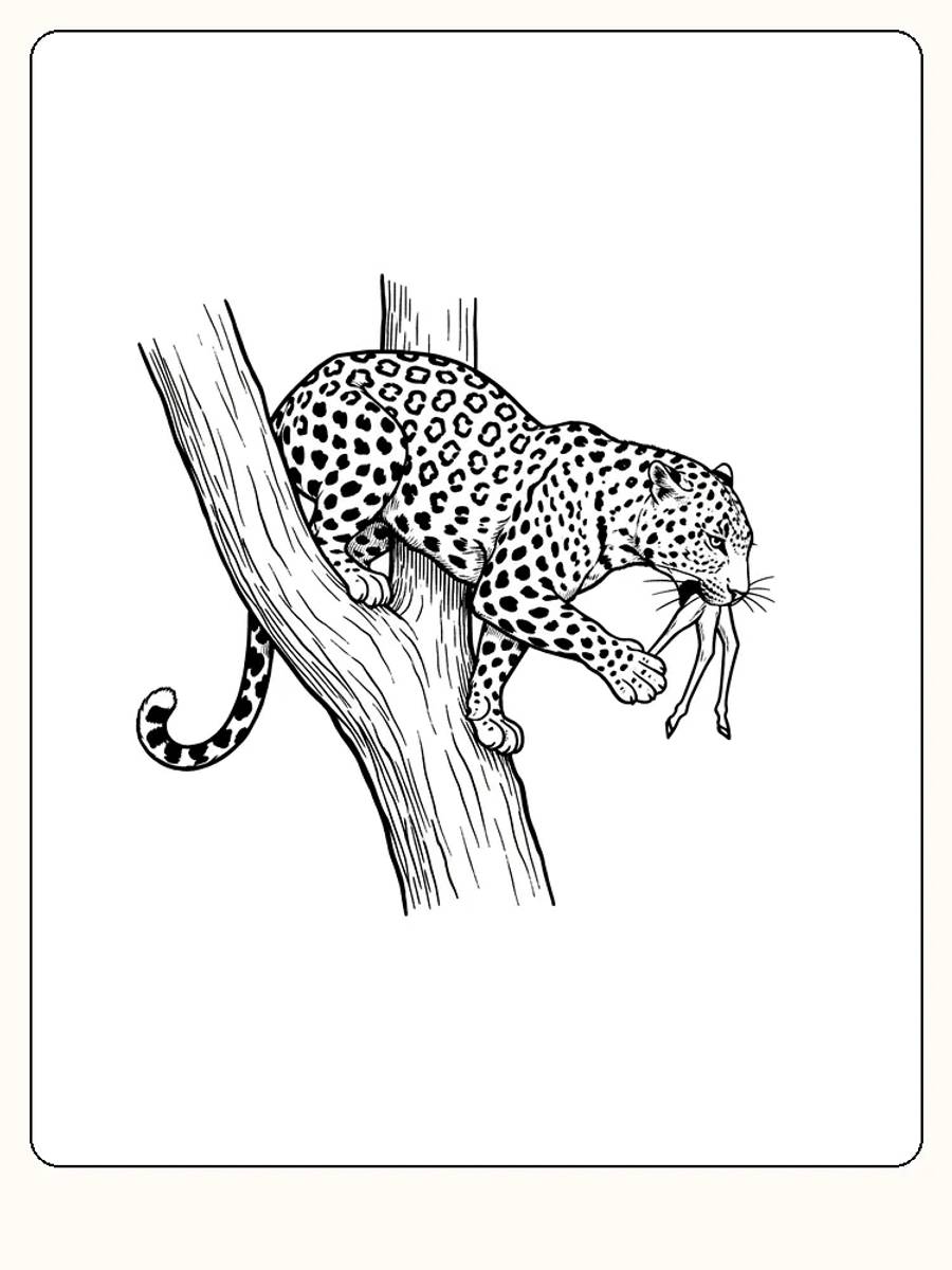 Fargeleggingstegning av leopard i et tre med byttedyr i munnen, klar for utskrift